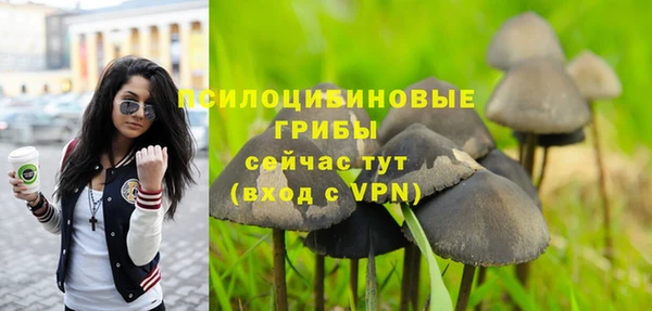 соль курить ск Алзамай