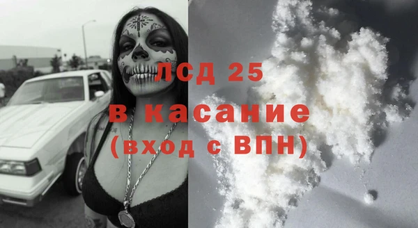 гашик Алексин