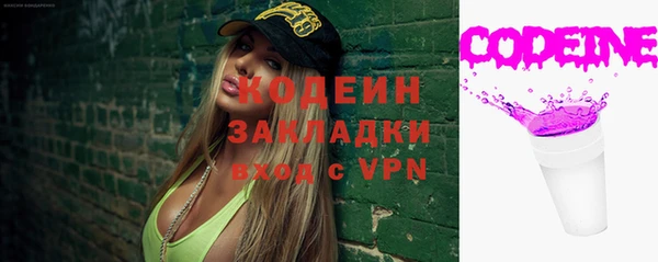 гашик Алексин