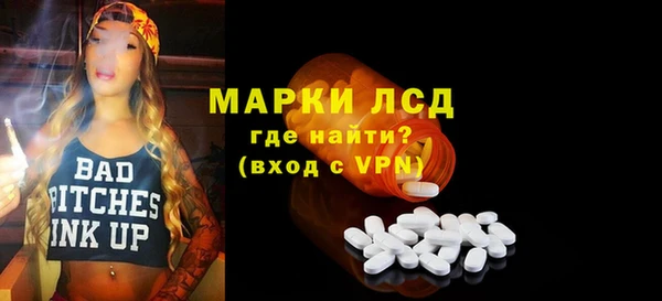 гашик Алексин