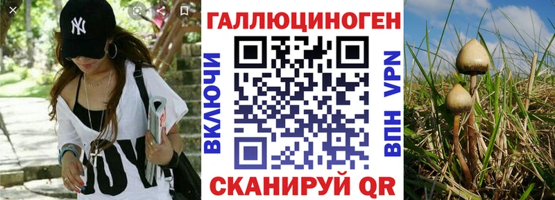 Галлюциногенные грибы Cubensis  сколько стоит  гидра маркетплейс  сайты даркнета телеграм  Троицк 
