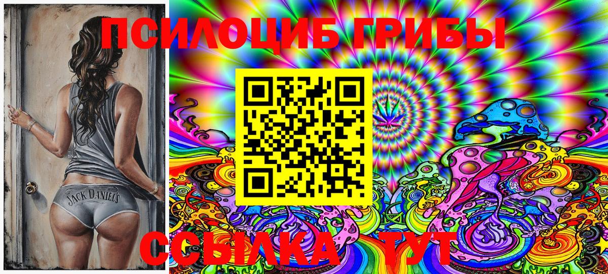 Троицк  Галлюциногенные грибы Psilocybine cubensis  Вход с VPN  Галлюциногенные грибы Cubensis 